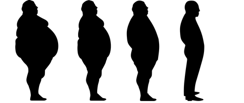 Gonadotropina y su Papel en la Musculación Gonadotropina y su Papel en la Musculación